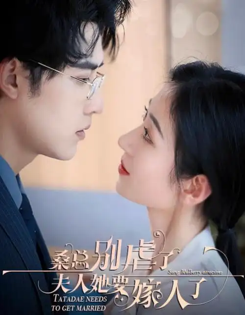 她的第八种身份 短剧海报